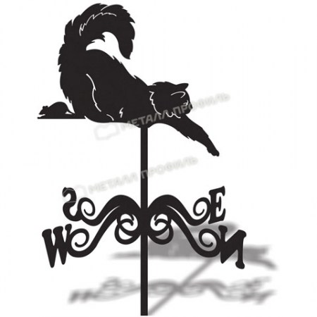 kot