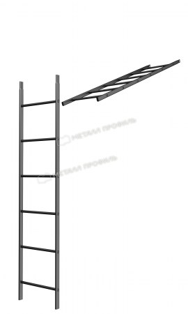 l6