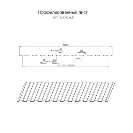 mp10110073