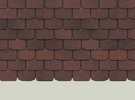 slanec1